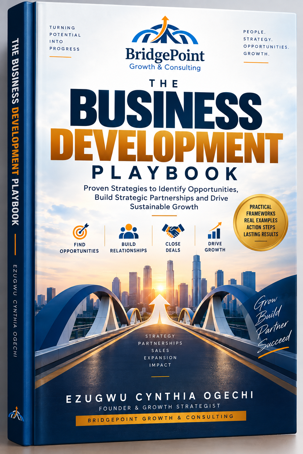 BridgePoint publication